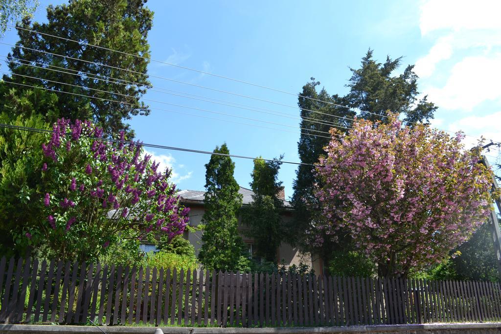 Var-Lak Vendeghaz Szendro Bagian luar foto