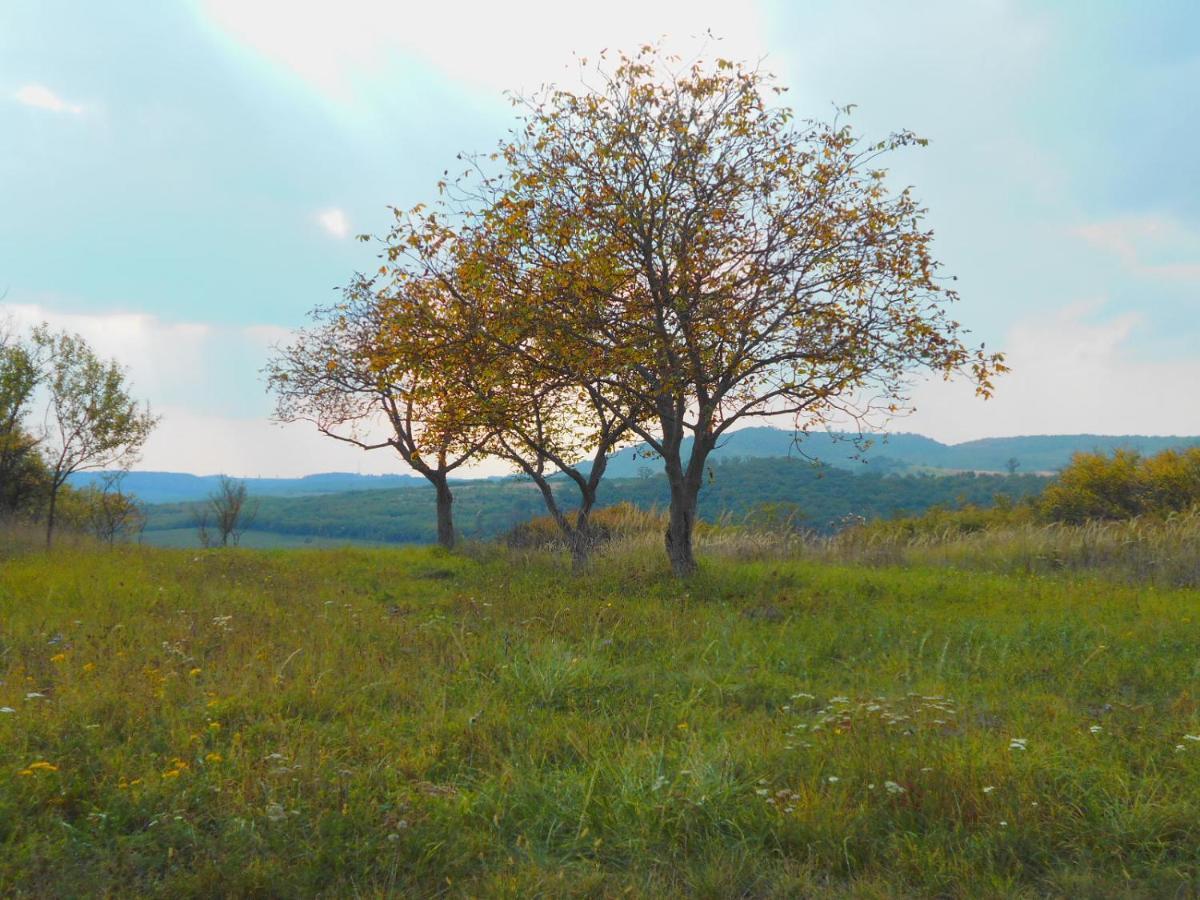 Var-Lak Vendeghaz Szendro Bagian luar foto